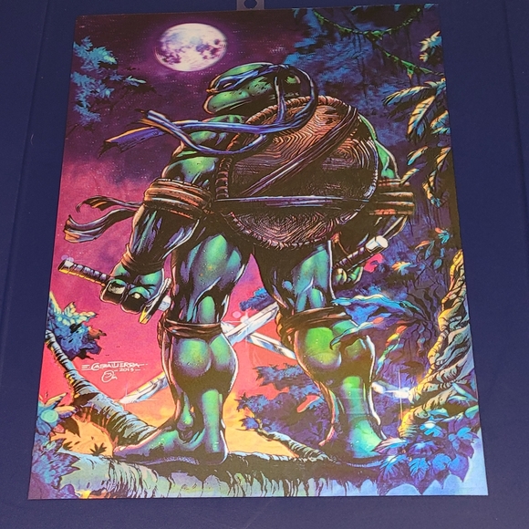 Other - TMNT Leonardo to Raphael 3D Holographic Lenticular Poster
